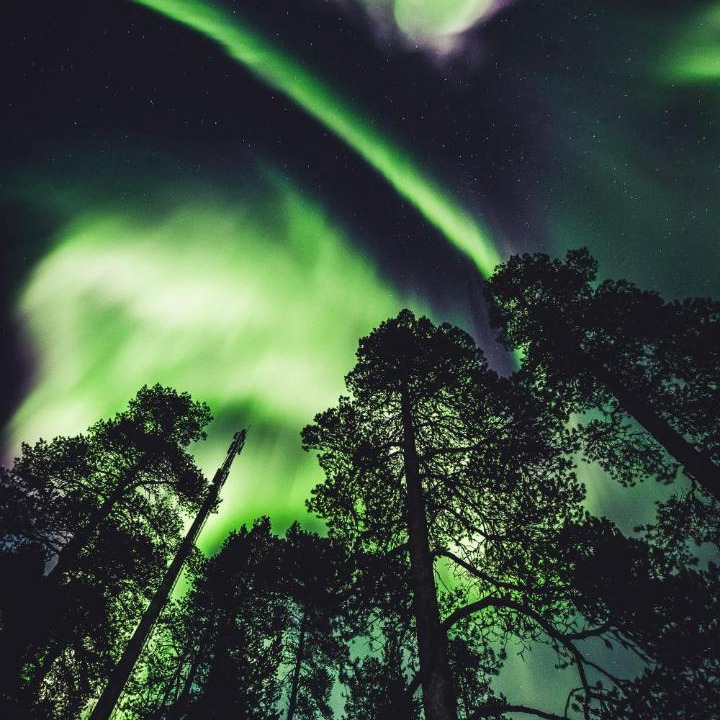 Photo of Others in Ivalo