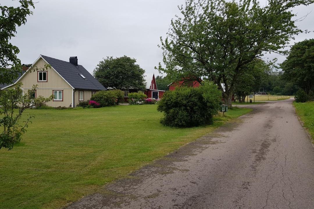 Photo of Others in Langas