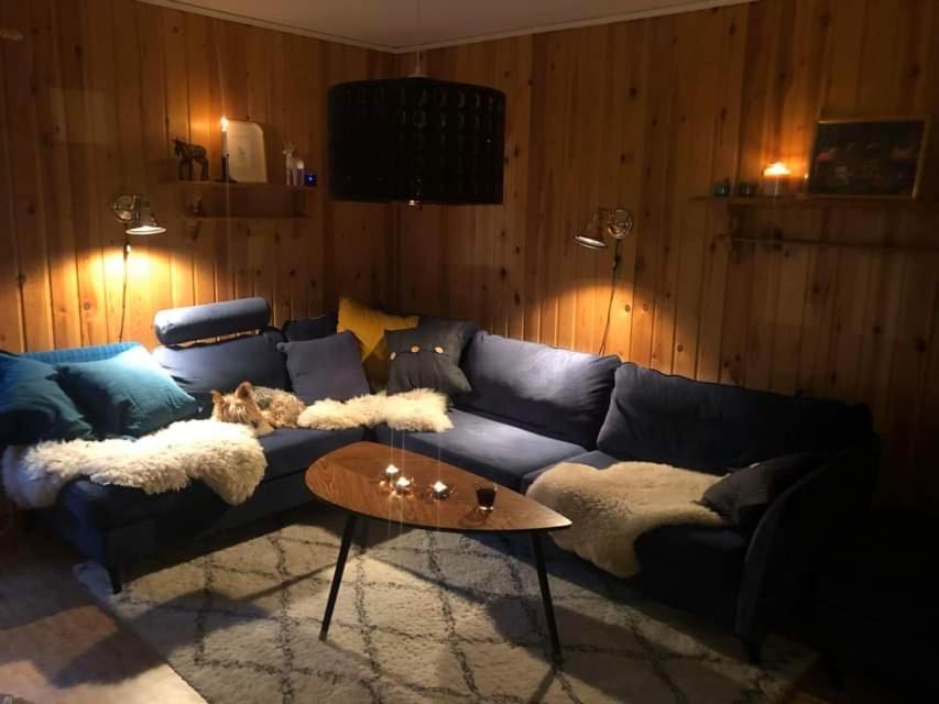 Photo of Livingroom in Dorotea Municipality