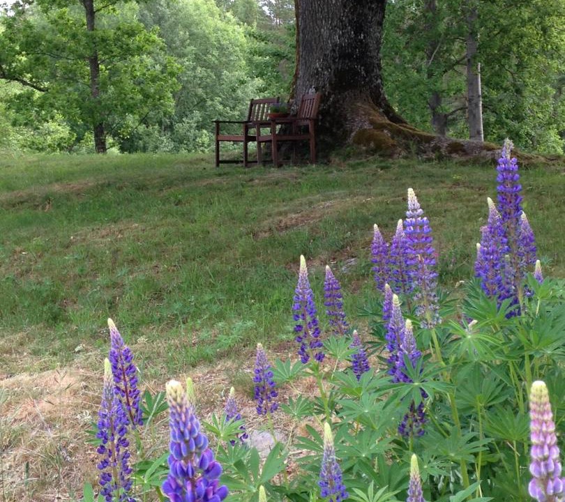 Photo of Outdoor in Asensbruk
