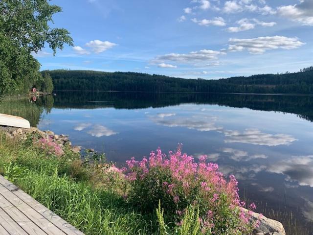Photo of Others in Ornskoldsvik Municipality