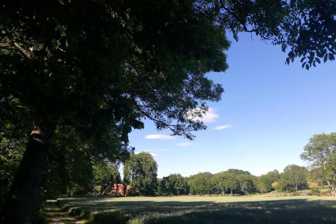 Photo of Outdoor in Varnhem