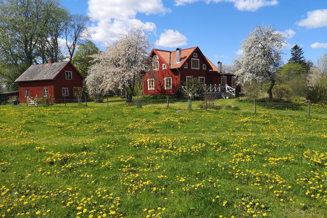 Photo of Buildings in Varnhem