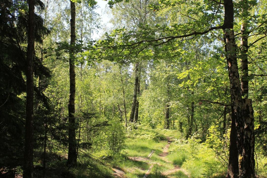 Photo of Outdoor in Varnhem