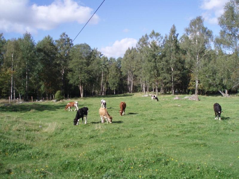 Photo of Others in Varnamo