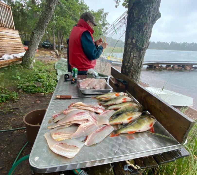 Photo of Others in Odkarby