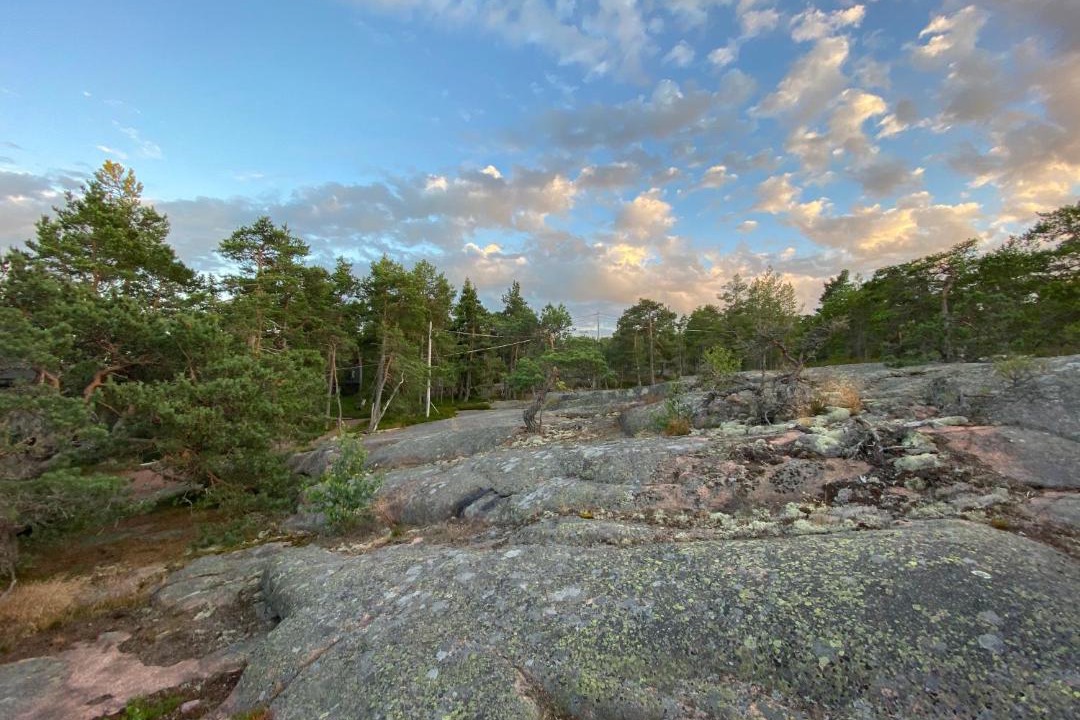 Photo of Others in Odkarby