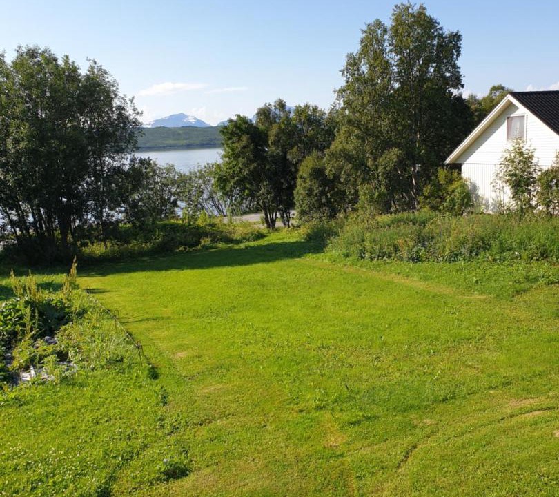 Photo of Others in Tromso