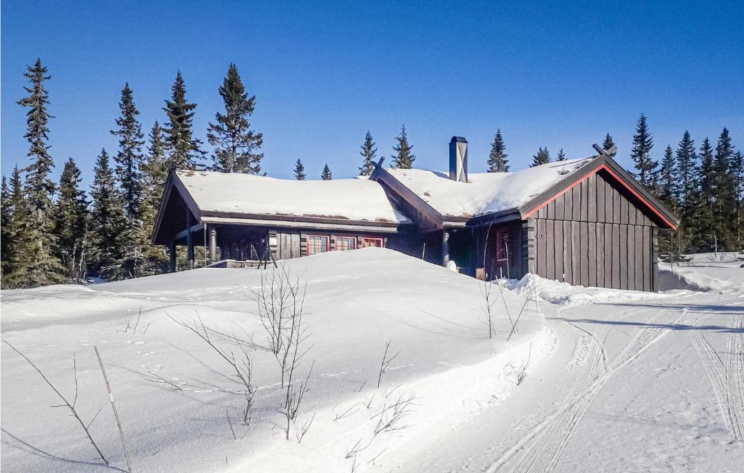 Photo of Others in Trysil