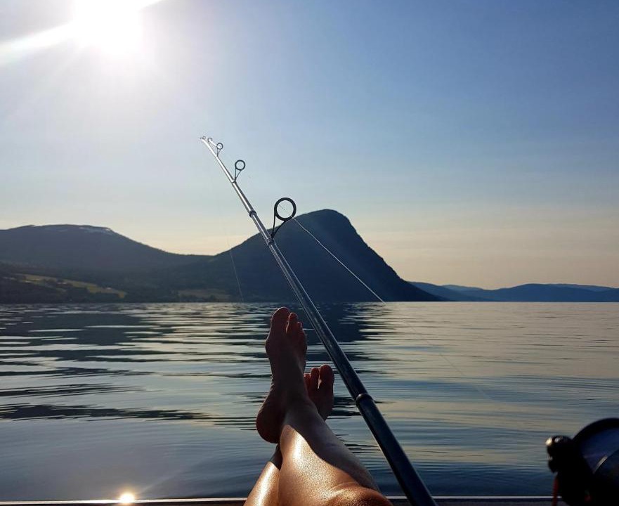 Photo of Others in Torjulvagen