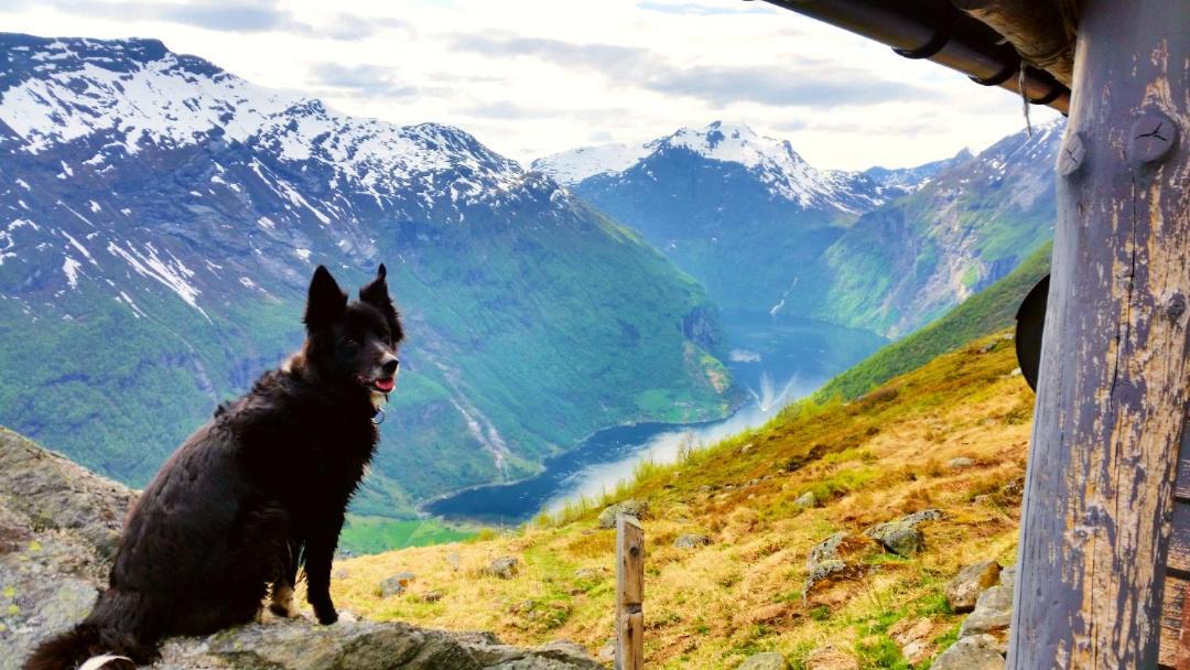 Photo of Others in Geiranger