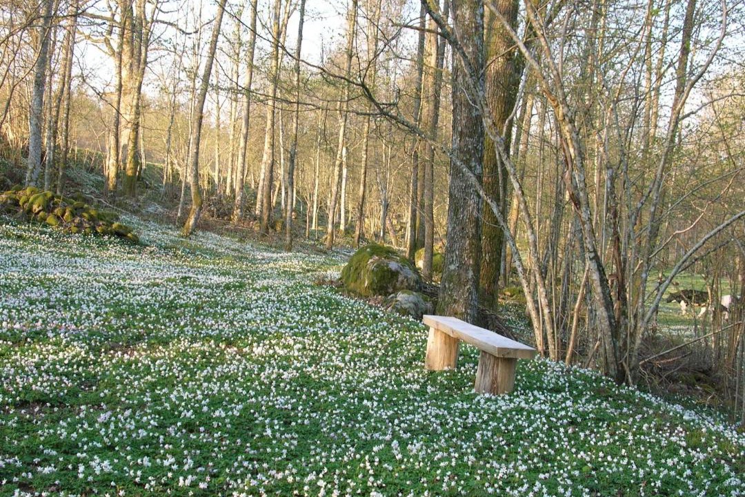 Photo of Outdoor in Torup