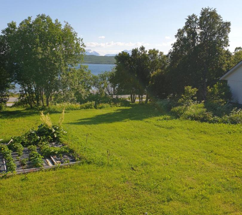 Photo of Others in Tromso