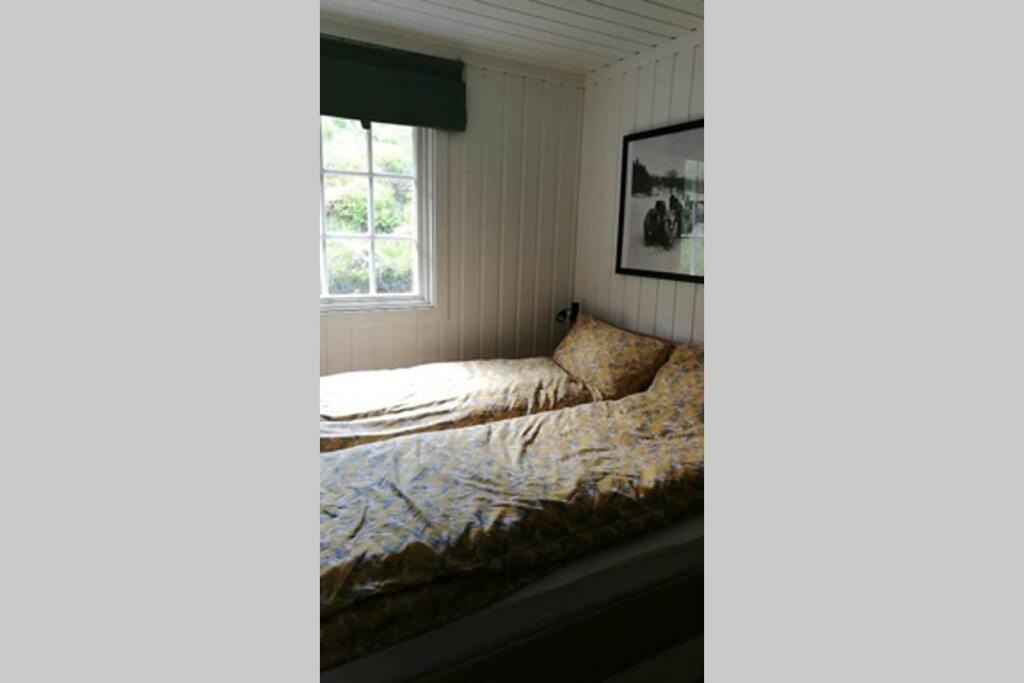 Photo of Others in Stryn