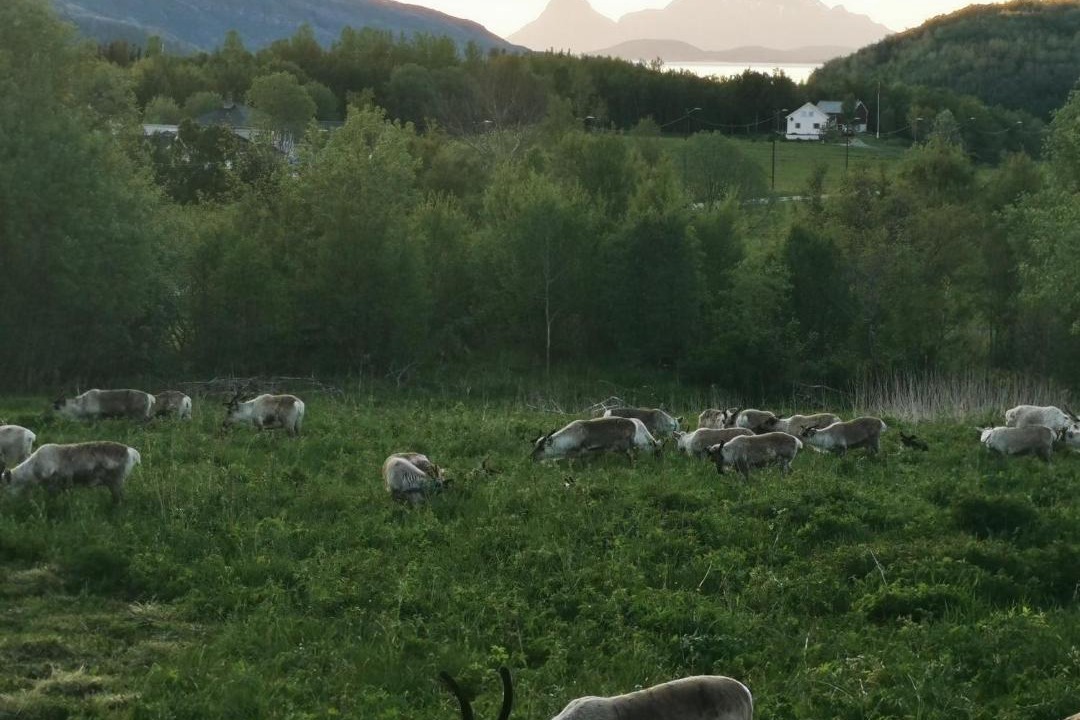 Photo of Others in Nygardsjøen