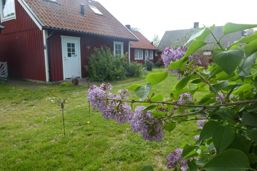 Photo of Buildings in Forslov