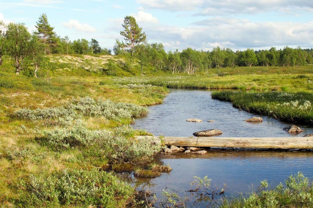 Photo of Outdoor in Idre