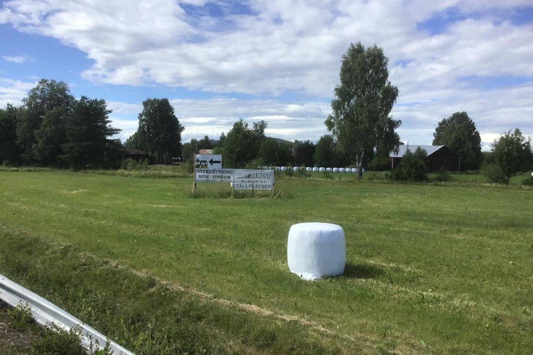 Photo of Others in Appelbo