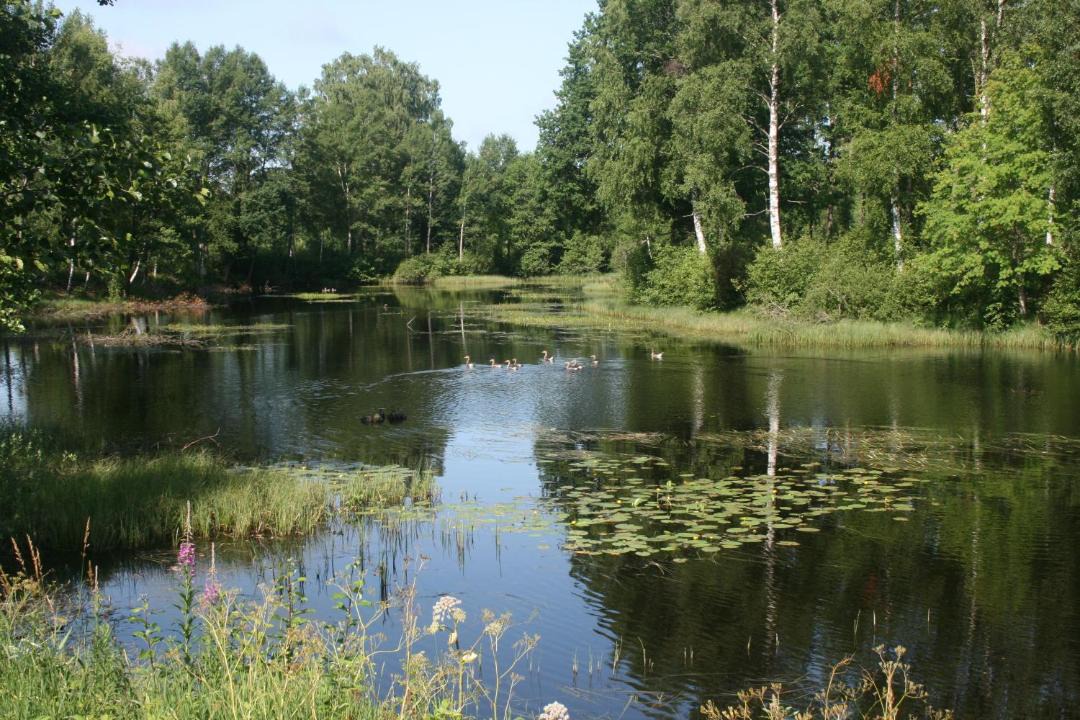 Photo of Others in Torup