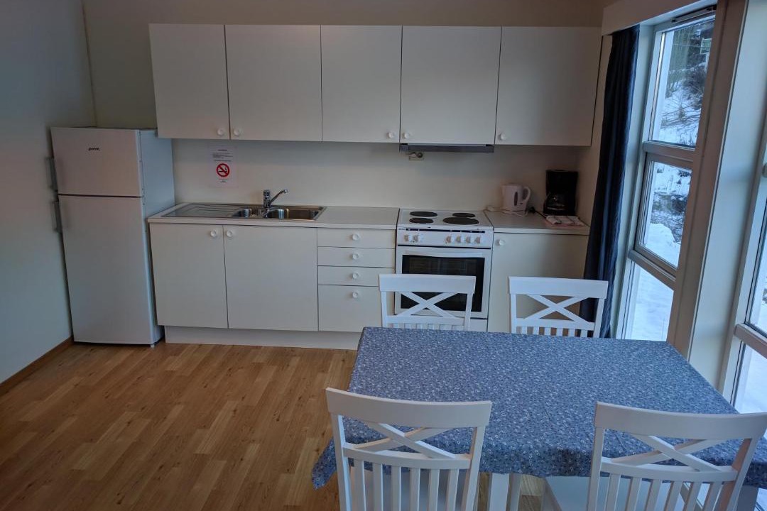 Photo of Kitchen in Seljord