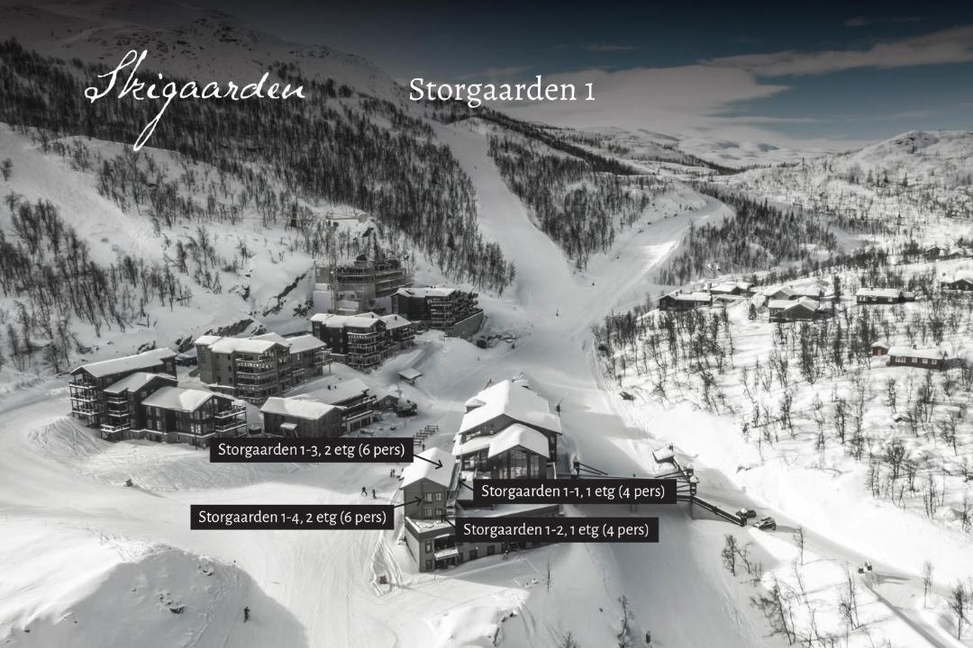 Photo of Others in Hemsedal