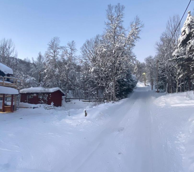 Photo of Others in Geilo
