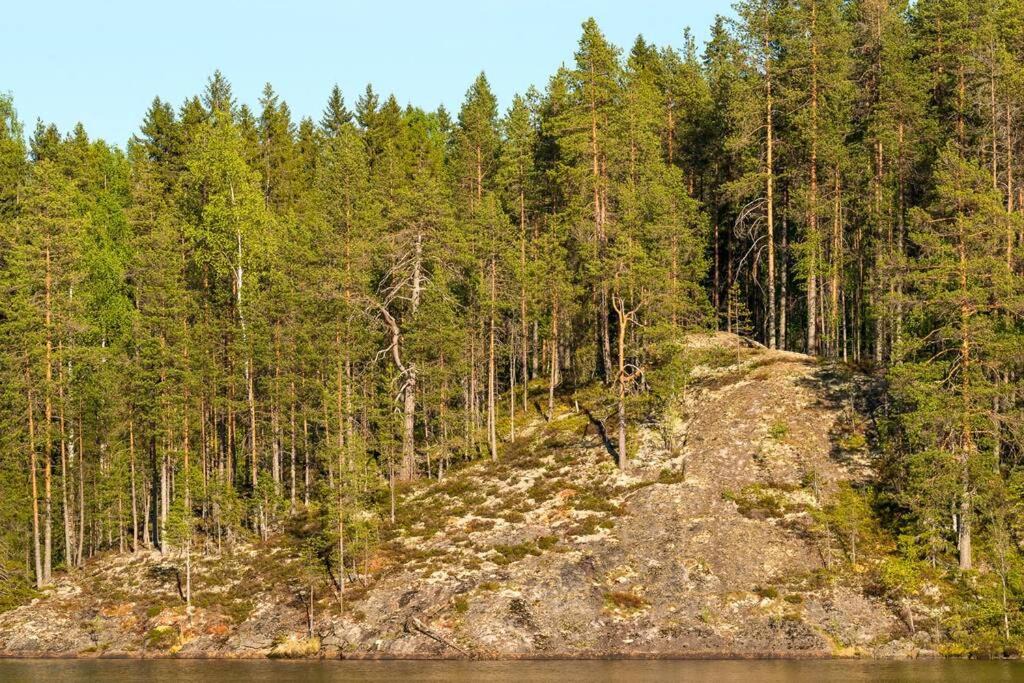 Photo of Others in Enonkoski