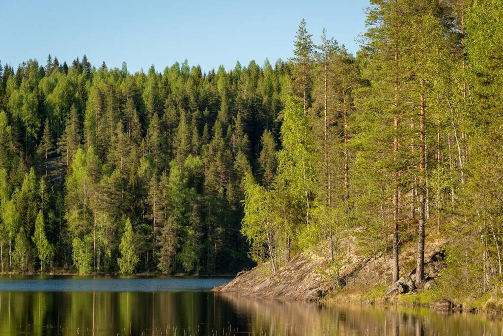 Photo of Others in Enonkoski