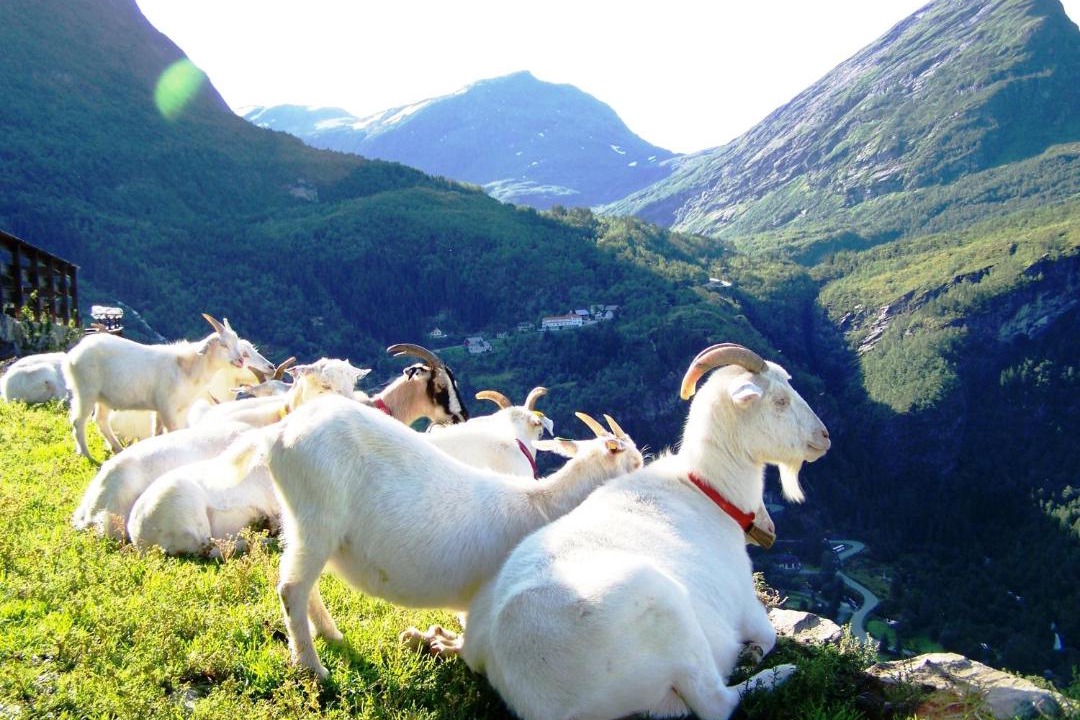 Photo of Others in Geiranger