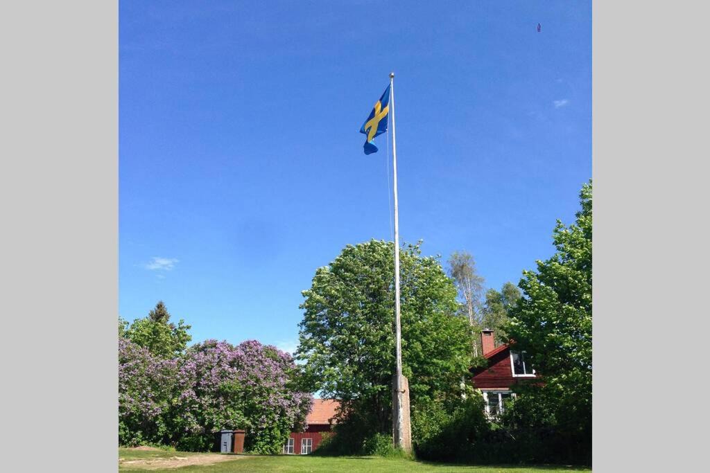 Photo of Outdoor in Solleron