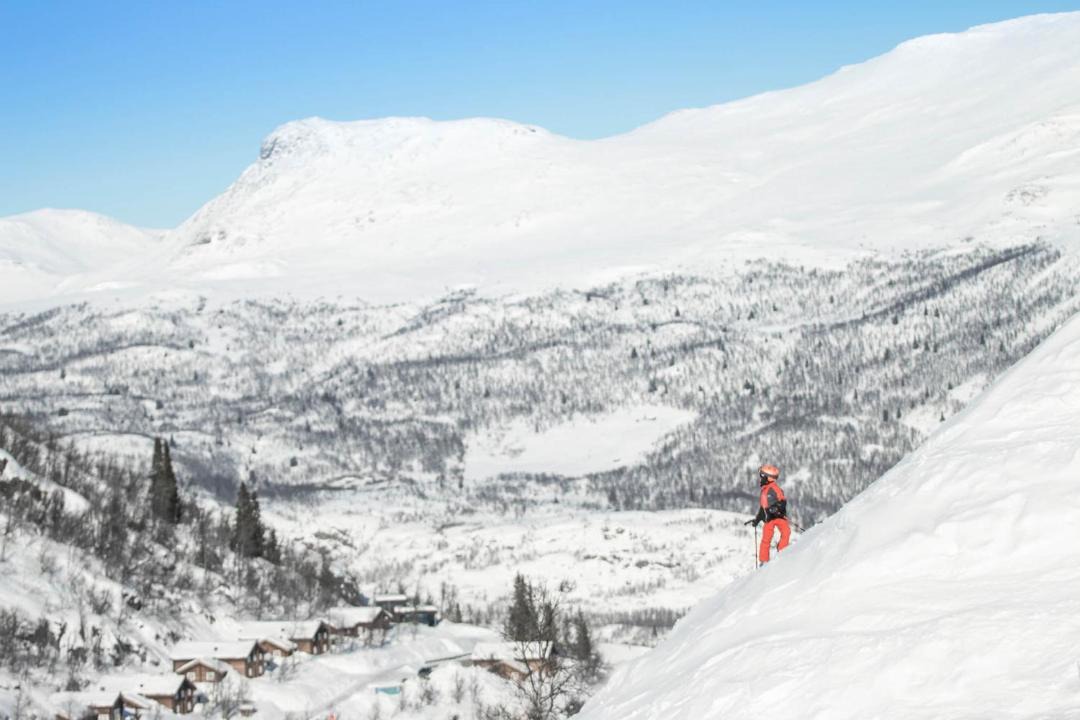 Photo of Others in Hemsedal