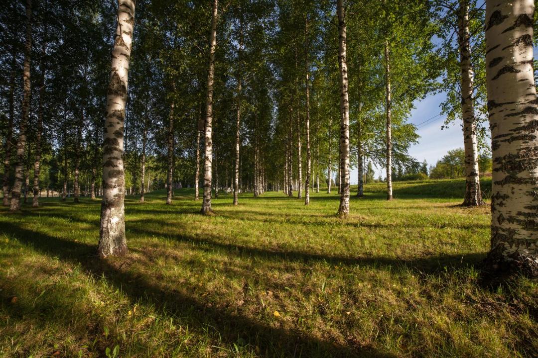 Photo of Others in Imatra