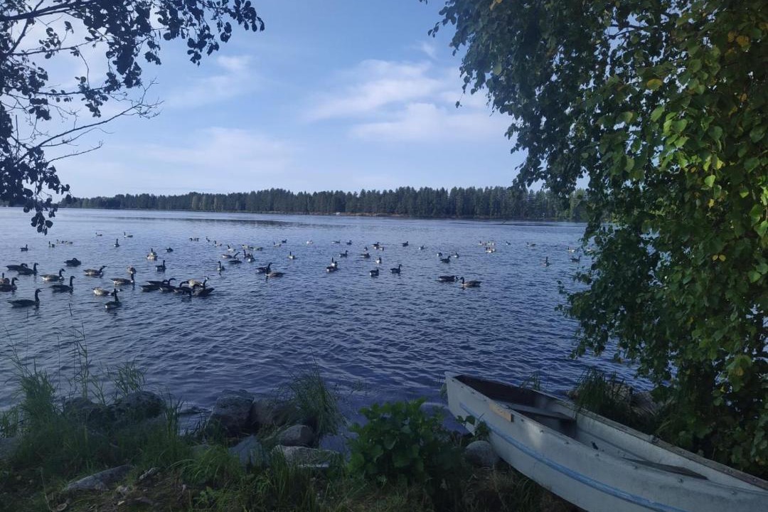 Photo of Others in Imatra