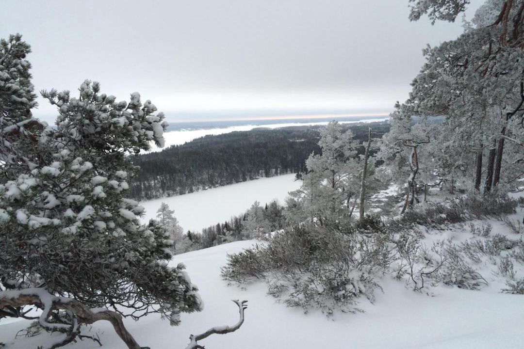 Photo of Others in Edsleskog
