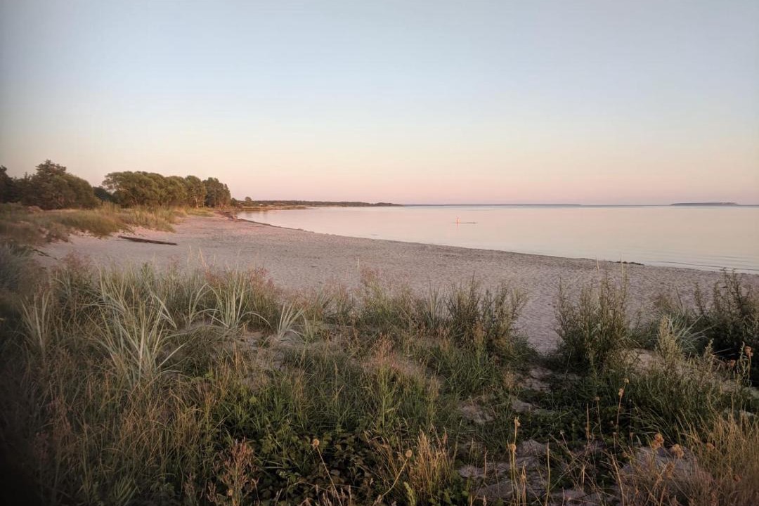 Photo of Others in Gotlands Tofta