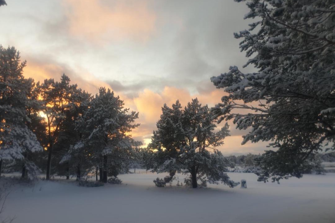 Photo of Others in Alta