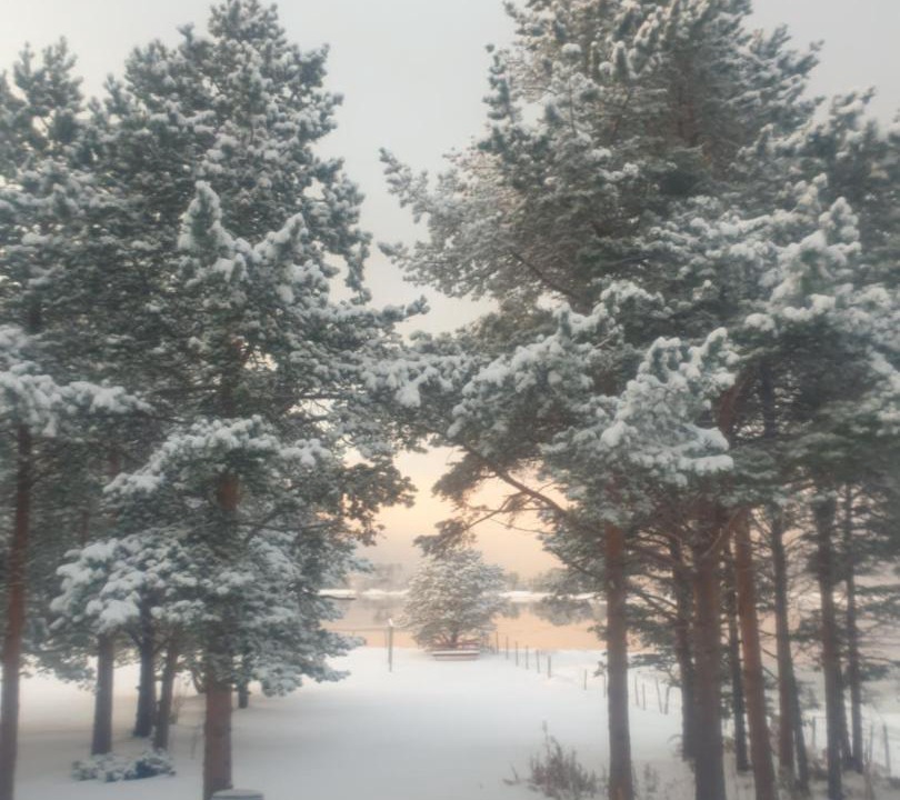 Photo of Others in Alta