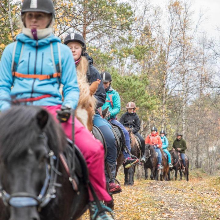 Photo of Others in Skjaak