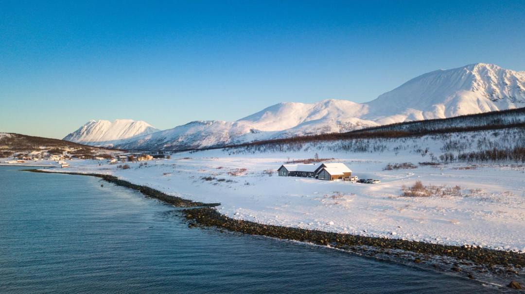Photo of Others in Lyngen