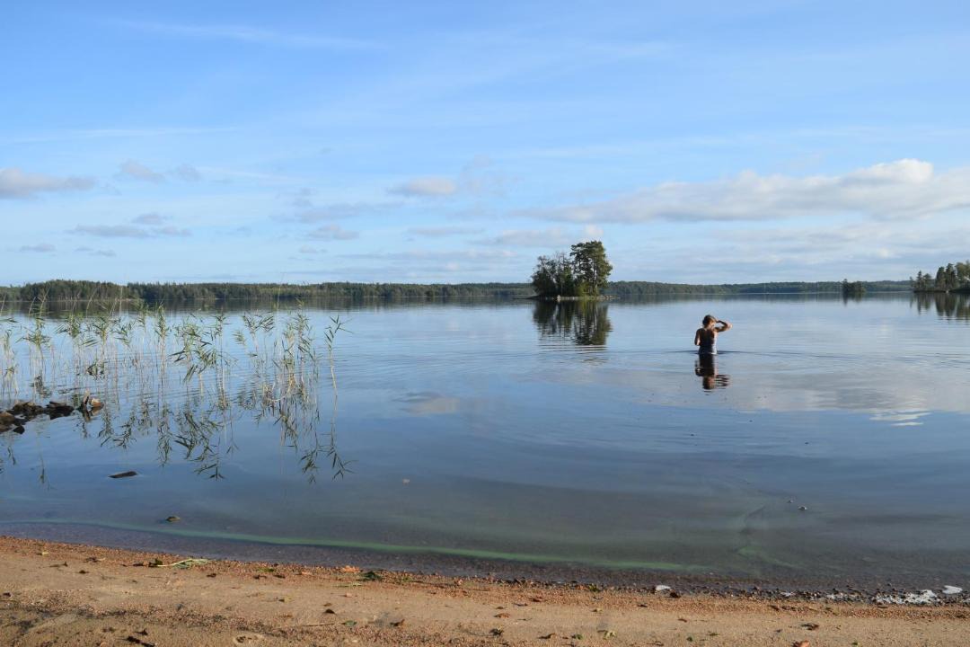 Photo of Others in Kalv
