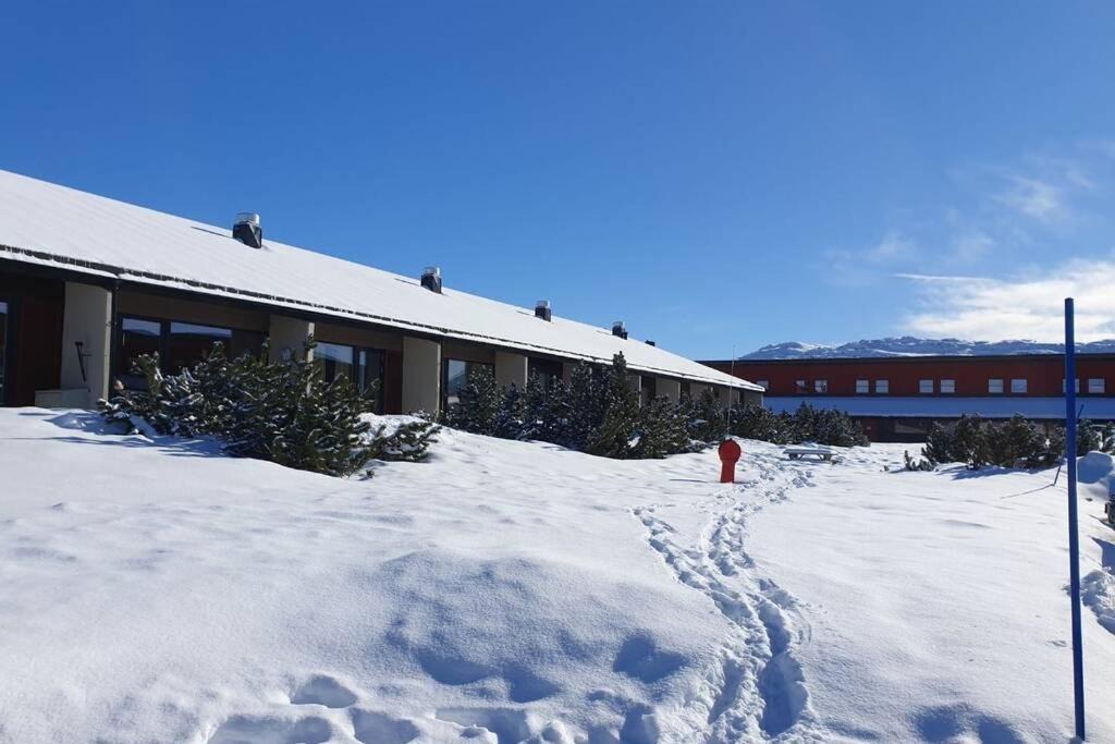 Photo of Others in Hovden