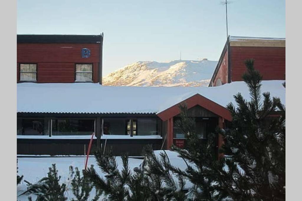 Photo of Others in Hovden