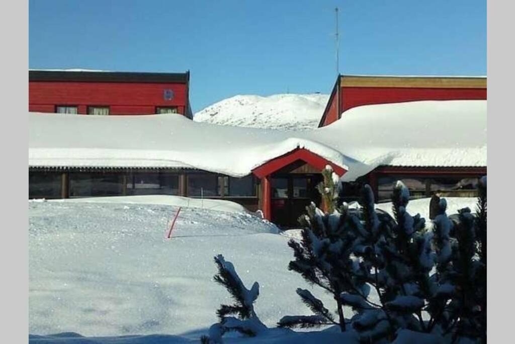 Photo of Others in Hovden