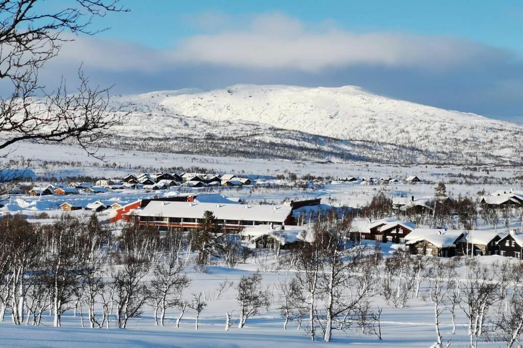 Photo of Others in Hovden