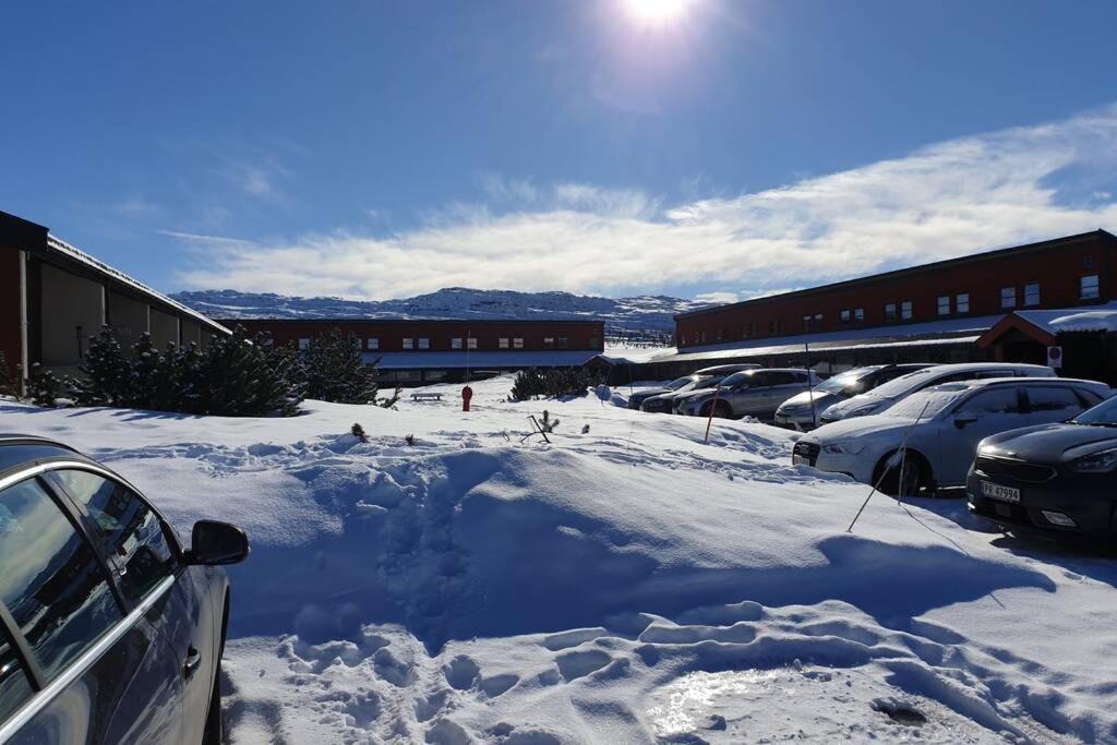 Photo of Others in Hovden