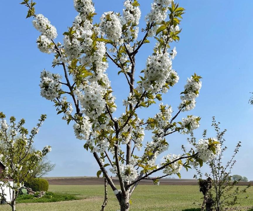 Photo of Outdoor in Loderup