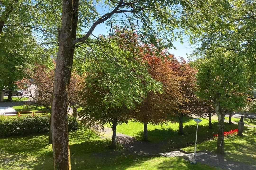 Photo of Others in Kopervik