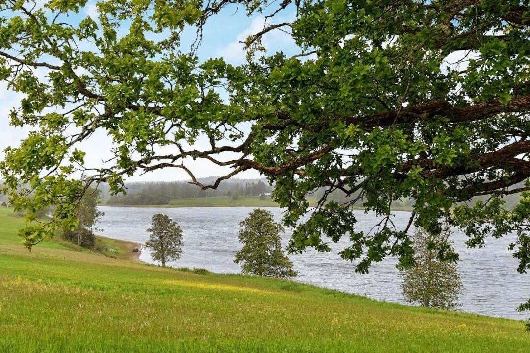 Photo of Others in Frandefors