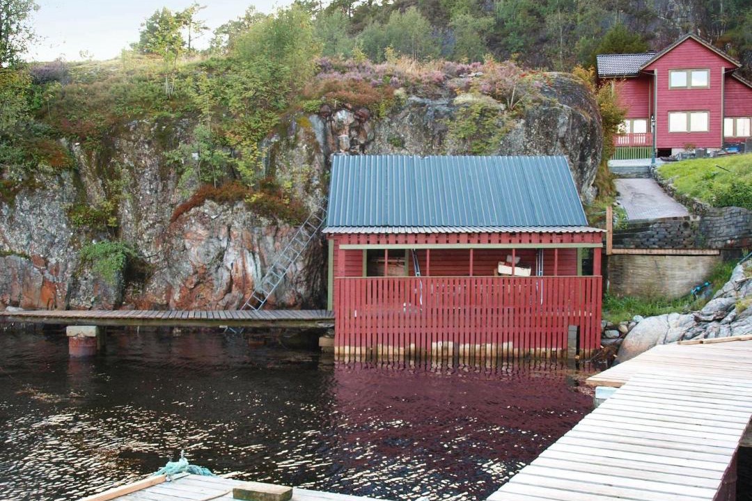 Photo of Others in Hosteland