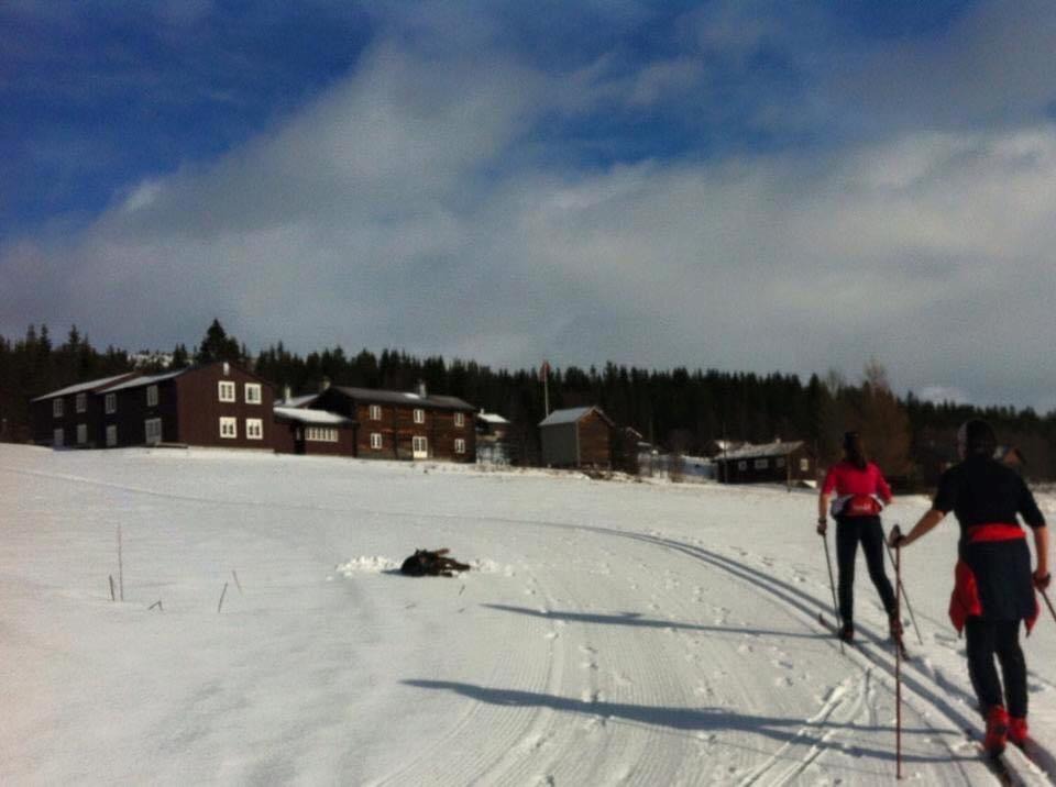 Photo of Others in Holtalen